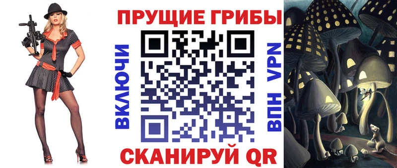 Купить  Электрогорск  Псилоцибиновые грибы Psilocybine cubensis 